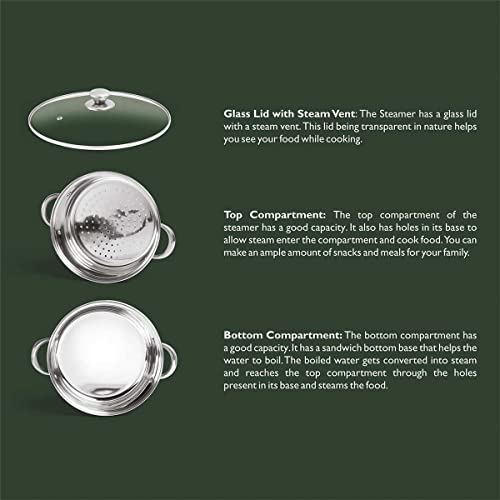SignoraWare All Rounder Stainless Steel Induction Bottom Steamer/Modak/Momo Maker with Glass Lid (20cm) 2 Tier, Set of 1