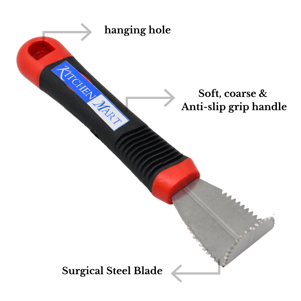 Kitchen Mart Stainless Steel Hand Coconut Scrapper