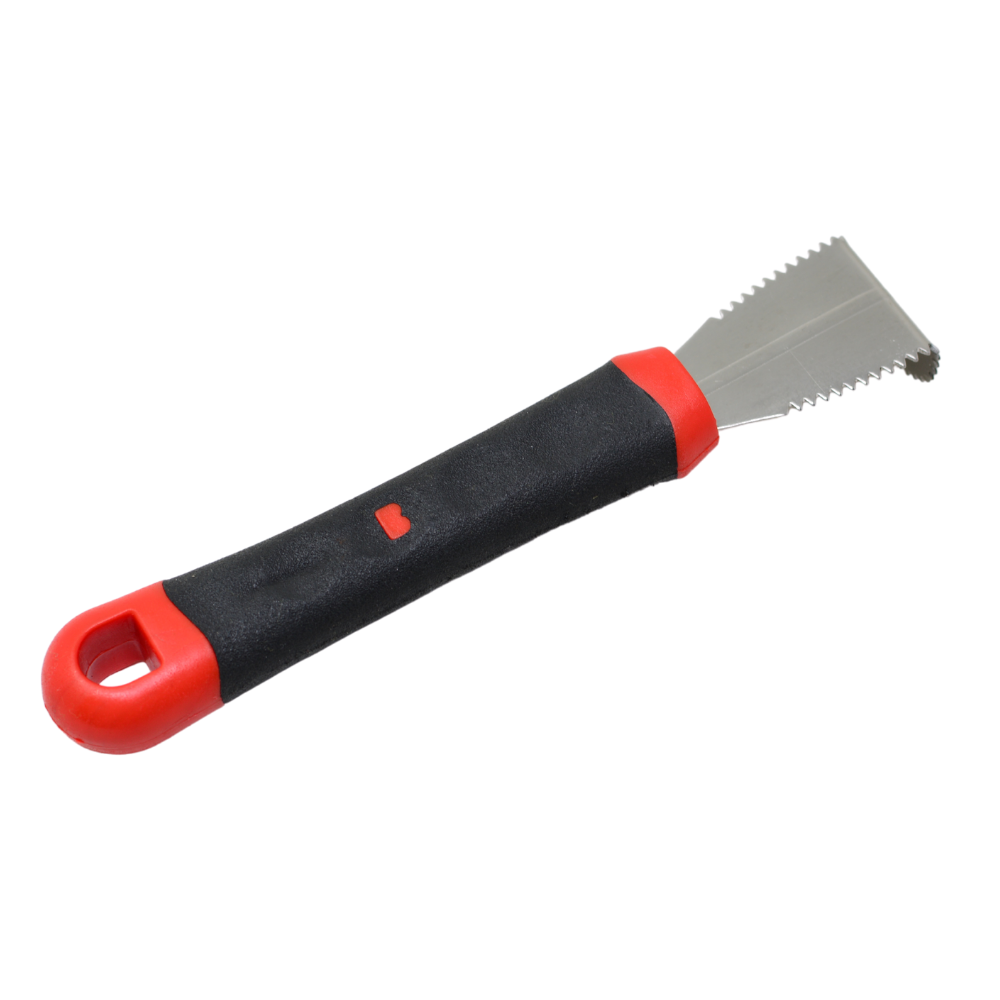 Kitchen Mart Stainless Steel Hand Coconut Scrapper