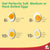 Multi-functional egg boiler with steaming bowl and cool-touch handles