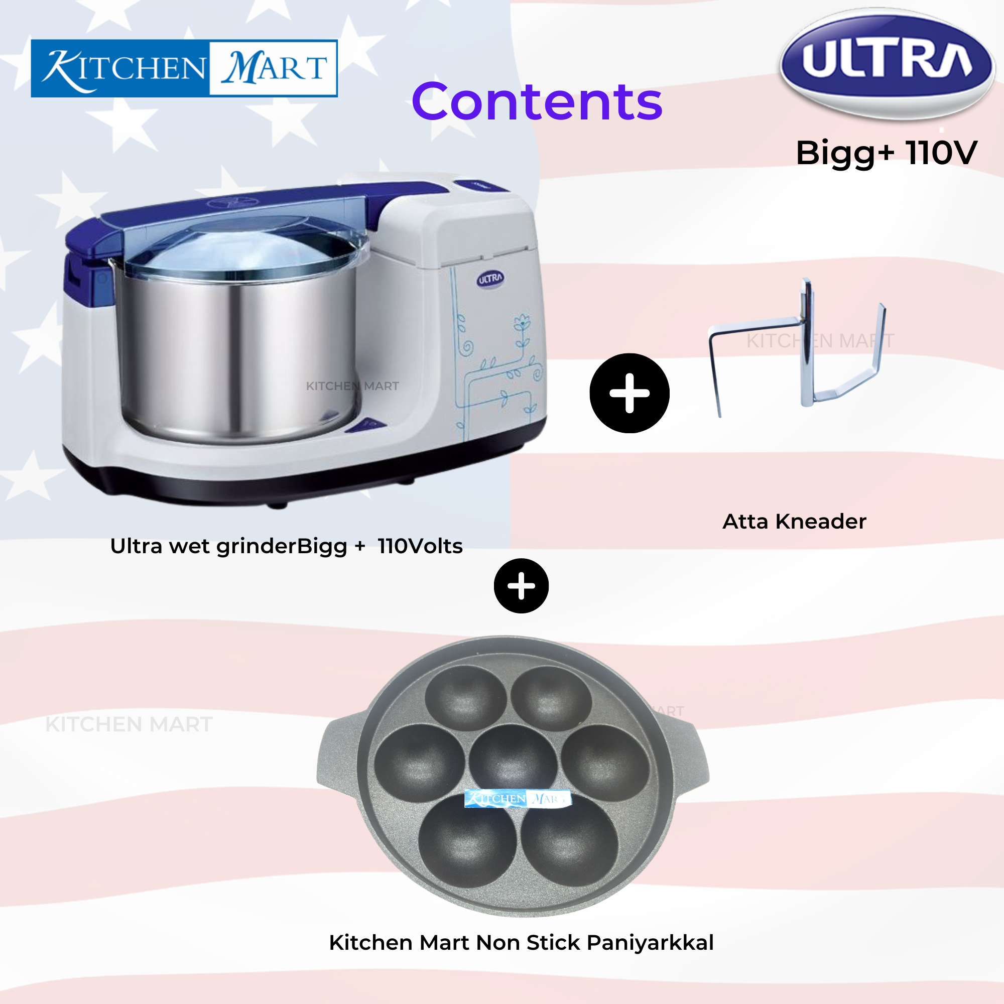 Elgi Ultra Bigg+ Table Top Wet Grinder 2.5 Litres, 110volts for use in USA & Canada