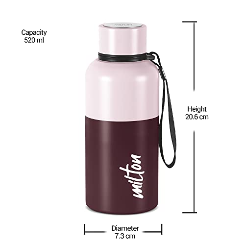 Milton Ancy 500 Thermosteel Water Bottle, 520 ml