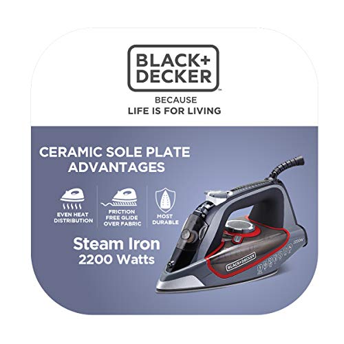 Black + Decker BD BXIR2202IN 2200-Watt Steam Iron (Grey)