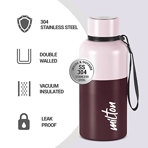Milton Ancy 500 Thermosteel Water Bottle, 520 ml