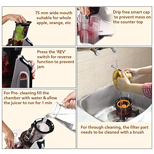 AGARO Imperial Slow Juicer, Professional Cold Press Whole Slow Juicer, 240 Watts Power Motor, 3 Strainers, All-in-1 Fruit & Vegetable Juicer, Grey/Black