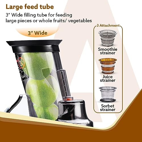AGARO Imperial Slow Juicer, Professional Cold Press Whole Slow Juicer, 240 Watts Power Motor, 3 Strainers, All-in-1 Fruit & Vegetable Juicer, Grey/Black