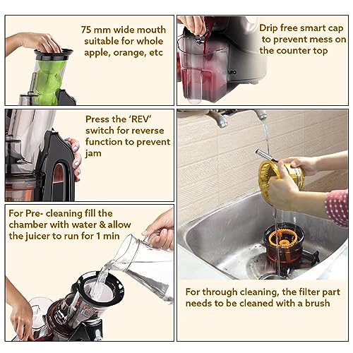 AGARO Royal Slow Juicer, Professional Cold Press Whole Slow Juicer, 240 Watts Power Motor, 120 Minutes Long Usage, 3 Strainers, All-in-1 Fruit & Vegetable Juicer, Black