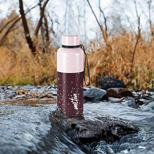 Milton Ancy 500 Thermosteel Water Bottle, 520 ml