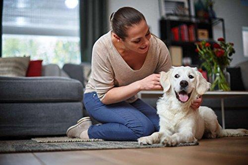 Philips PowerPro FC9352/01 Compact Bagless Vacuum Cleaner (Blue) - KITCHEN MART