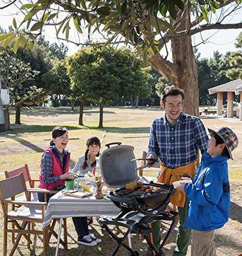 Weber Aluminum Q - Gas Grills Q 1200 Ttnm Asia (Titanium) - KITCHEN MART