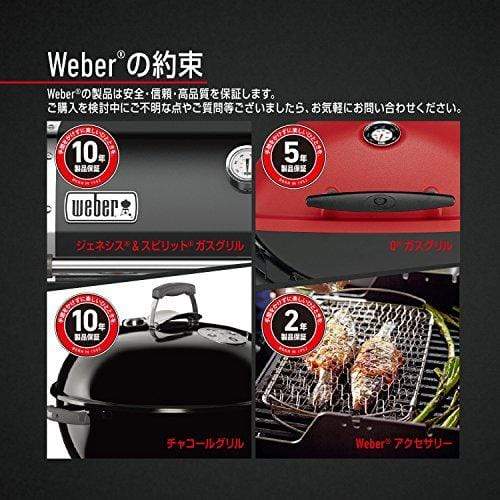 Weber Aluminum Q - Gas Grills Q 1200 Ttnm Asia (Titanium) - KITCHEN MART