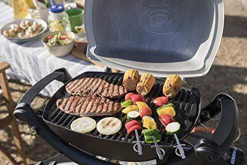 Weber Aluminum Q - Gas Grills Q 1200 Ttnm Asia (Titanium) - KITCHEN MART