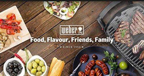 Weber Aluminum Q - Gas Grills Q 1200 Ttnm Asia (Titanium) - KITCHEN MART