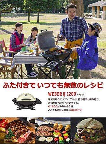 Weber Aluminum Q - Gas Grills Q 1200 Ttnm Asia (Titanium) - KITCHEN MART